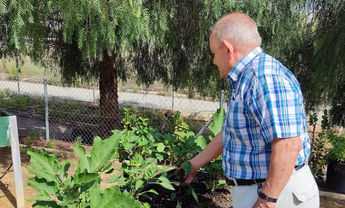 Nuestro Huerto. Junio